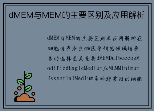 dMEM与MEM的主要区别及应用解析