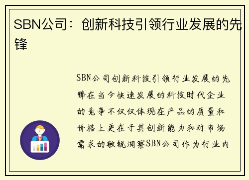 SBN公司：创新科技引领行业发展的先锋